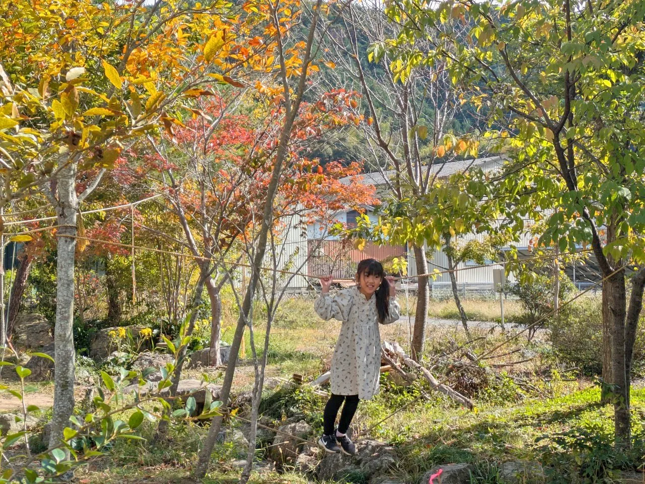 画像27
