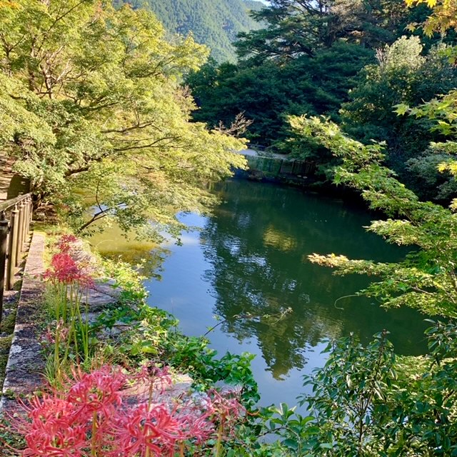 青垣町の古民家カフェgenten