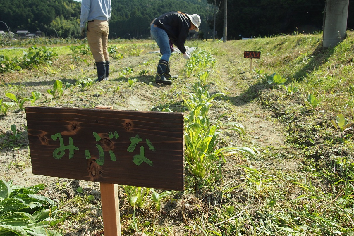 つながる広場ー有機野菜づくりー　開催しました！