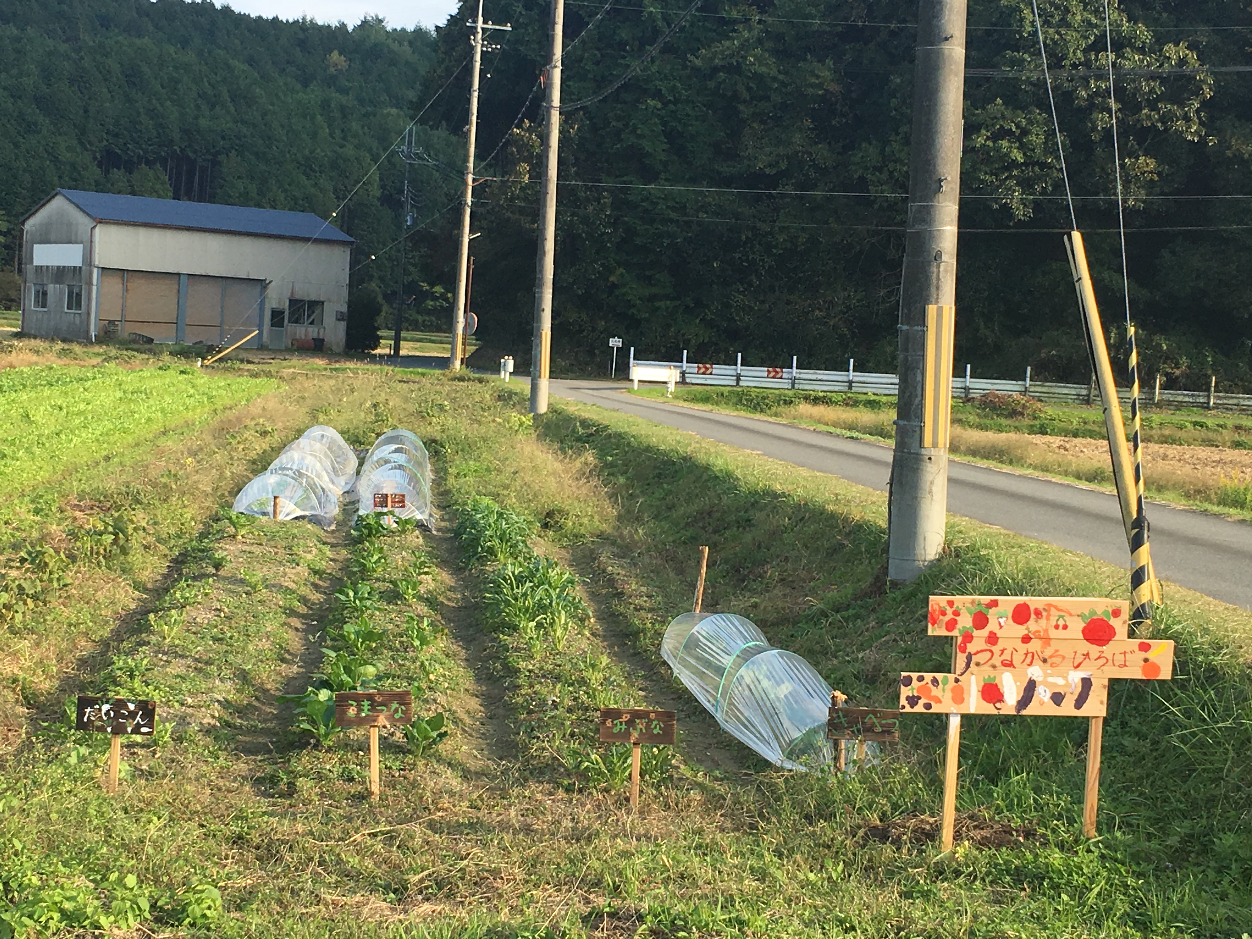 つながる広場－有機野菜づくり－