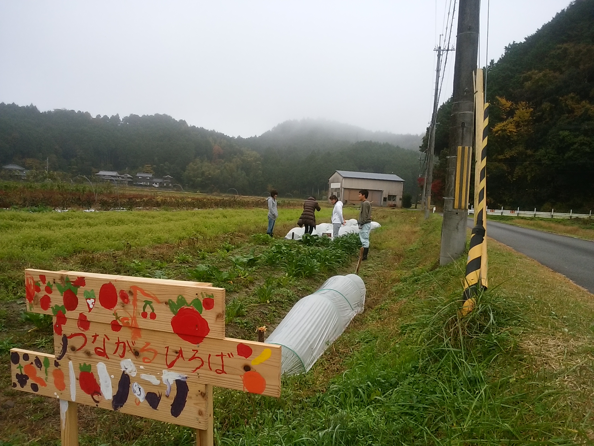 つながる広場－有機野菜づくり　シーズン２－　参加者募集！